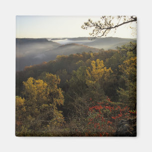 USA, Kentucky. Daniel Boone National Forest. Magnet