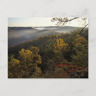 USA, Kentucky. Daniel Boone National Forest. Postcard