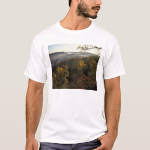USA, Kentucky. Daniel Boone National Forest. T-Shirt
