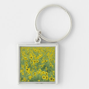 USA, Kentucky, Fayette County Pattern in field Key Ring