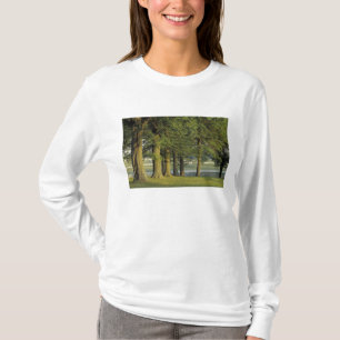 USA, Kentucky, Lexington. Row of trees and T-Shirt