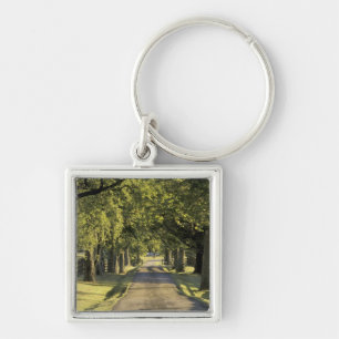 USA, Kentucky, Lexington. Tree-lined driveway, Key Ring