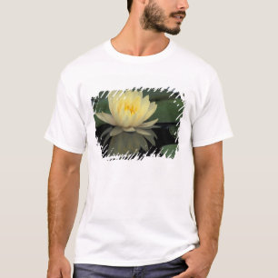 USA, Kentucky, Louisville Domestic water lily, T-Shirt