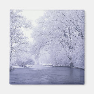 USA, Kentucky, Louisville. Snow covered Magnet