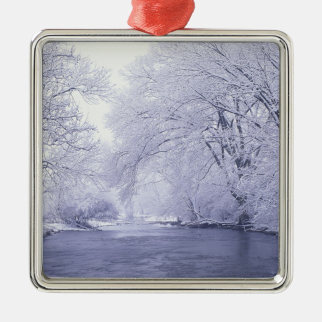 USA, Kentucky, Louisville. Snow covered Metal Tree Decoration (Front)