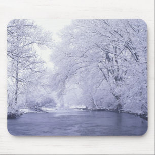 USA, Kentucky, Louisville. Snow covered Mouse Mat