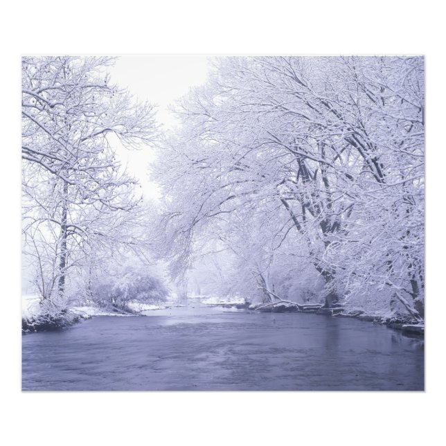 USA, Kentucky, Louisville. Snow covered Photo Print (Front)