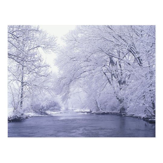 USA, Kentucky, Louisville. Snow covered Postcard