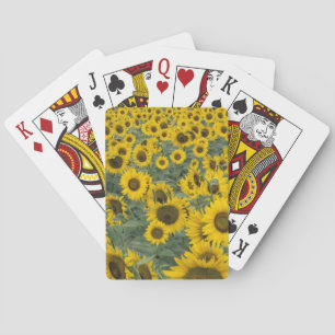 USA, Kentucky Pattern in field of cultivated Playing Cards