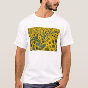 USA, Kentucky Pattern in field of cultivated T-Shirt