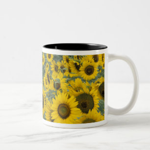 USA, Kentucky Pattern in field of cultivated Two-Tone Coffee Mug
