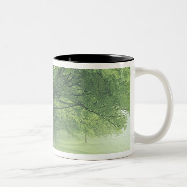 USA, Kentucky. Row of trees in spring Two-Tone Coffee Mug (Right)