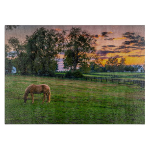 USA, Lexington, Kentucky. Lone horse at sunset Cutting Board