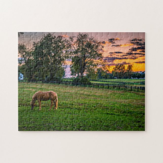 USA, Lexington, Kentucky. Lone horse at sunset Jigsaw Puzzle (Horizontal)