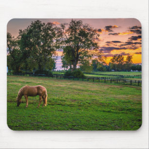 USA, Lexington, Kentucky. Lone horse at sunset Mouse Mat