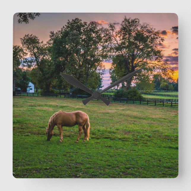 USA, Lexington, Kentucky. Lone horse at sunset Square Wall Clock (Front)