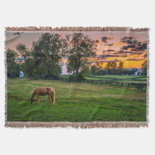 USA, Lexington, Kentucky. Lone horse at sunset Throw Blanket