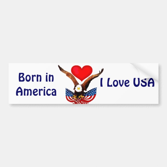 USA Love_ Bumper Sticker (Front)