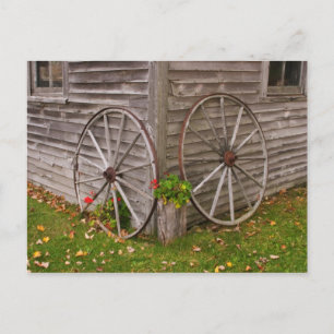 USA, Main. Wagon Wheels Postcard