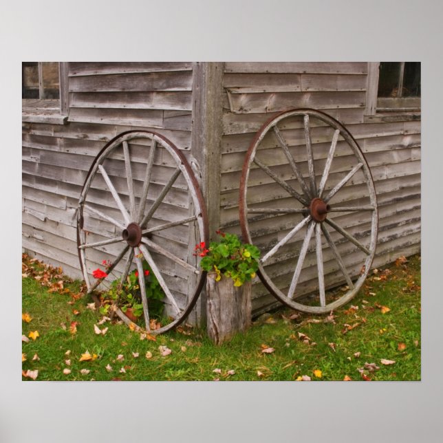 USA, Main. Wagon Wheels Poster (Front)
