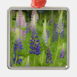 USA, Maine, Acadia National Park. Field of Metal Tree Decoration