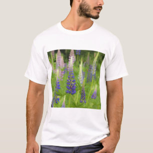 USA, Maine, Acadia National Park. Field of T-Shirt