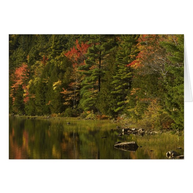 USA; Maine; Acadia NP. Fall reflections at 2 (Front Horizontal)