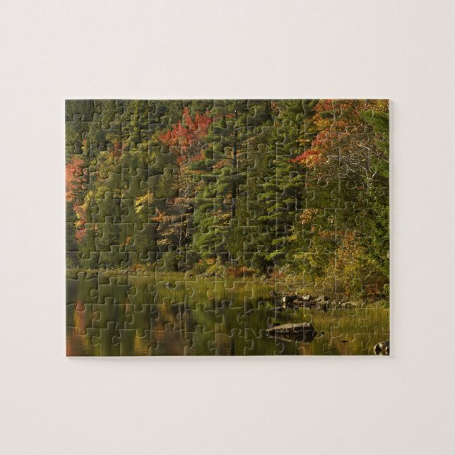 USA; Maine; Acadia NP. Fall reflections at 2 Jigsaw Puzzle (Horizontal)