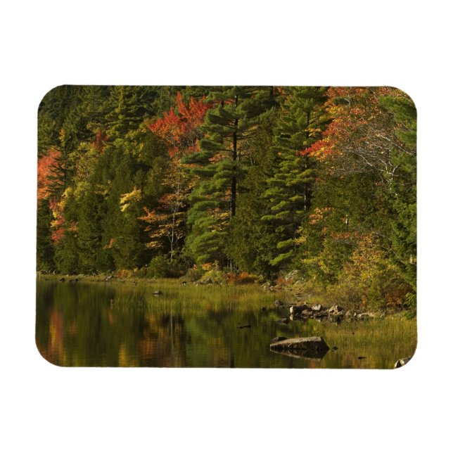 USA; Maine; Acadia NP. Fall reflections at 2 Magnet (Horizontal)