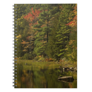 USA; Maine; Acadia NP. Fall reflections at 2 Notebook