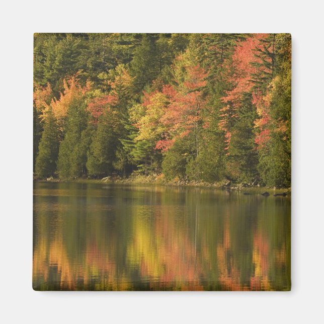 USA; Maine; Acadia NP. Fall reflections at Magnet (Front)