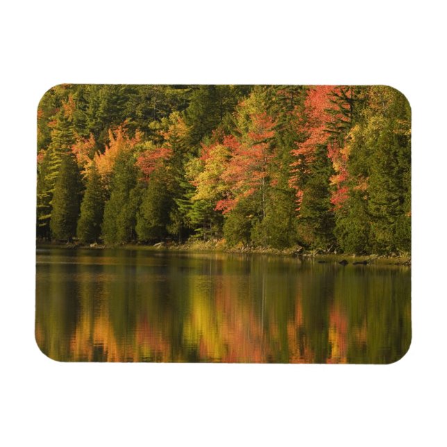USA; Maine; Acadia NP. Fall reflections at Magnet (Horizontal)