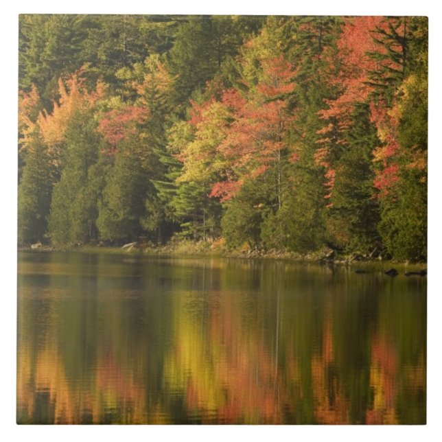 USA; Maine; Acadia NP. Fall reflections at Tile (Front)