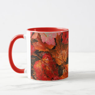 USA, Maine. Autumn maple leaves Mug