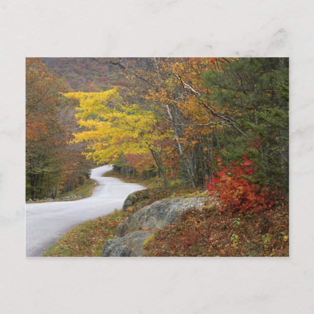 USA, Maine, Camden. Road leading through Camden Postcard (Front)