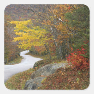USA, Maine, Camden. Road leading through Camden Square Sticker