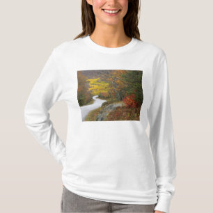 USA, Maine, Camden. Road leading through Camden T-Shirt