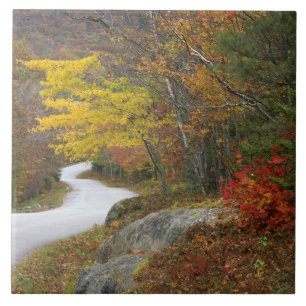 USA, Maine, Camden. Road leading through Camden Tile