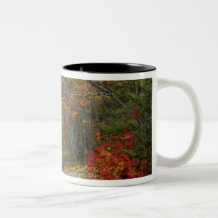 USA, Maine, Camden. Road leading through Camden Two-Tone Coffee Mug