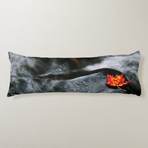 USA, Maine. Maple leaf on black rock in stream Body Cushion