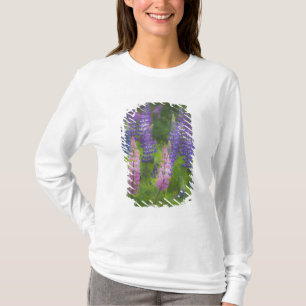 USA, Maine, Southwest Harbour. Blooming lupine T-Shirt