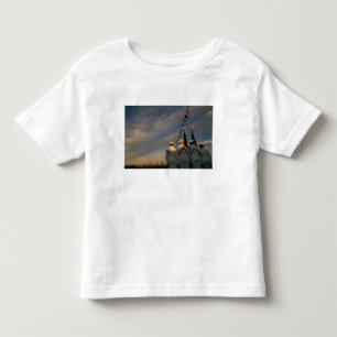 USA, Massachusettes, Boston. US Navy Colour Toddler T-Shirt