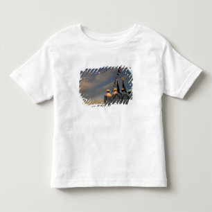USA, Massachusettes, Boston. US Navy Colour Toddler T-Shirt