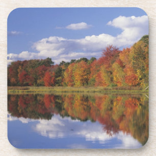 USA, Massachusetts, Acton. Reflection of autumn Coaster