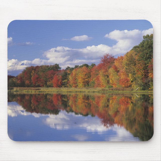 USA, Massachusetts, Acton. Reflection of autumn Mouse Mat (Front)
