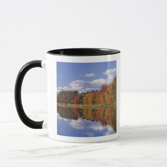 USA, Massachusetts, Acton. Reflection of autumn Mug (Left)