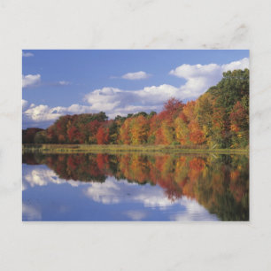 USA, Massachusetts, Acton. Reflection of autumn Postcard