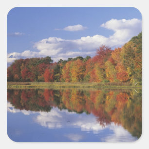 USA, Massachusetts, Acton. Reflection of autumn Square Sticker