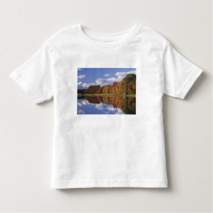 USA, Massachusetts, Acton. Reflection of autumn Toddler T-Shirt