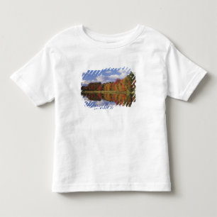 USA, Massachusetts, Acton. Reflection of autumn Toddler T-Shirt